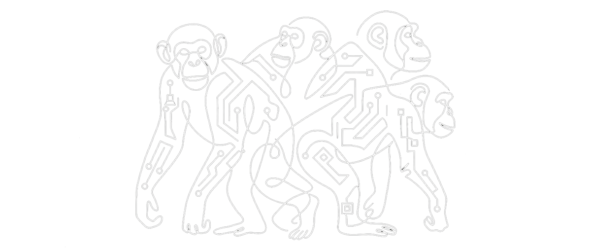 Shared Primitives, Different Affordances